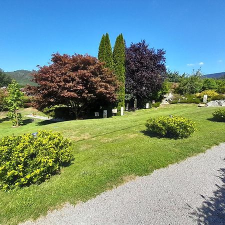 Chalet De Grettery Saulxures-sur-Moselotte Bagian luar foto