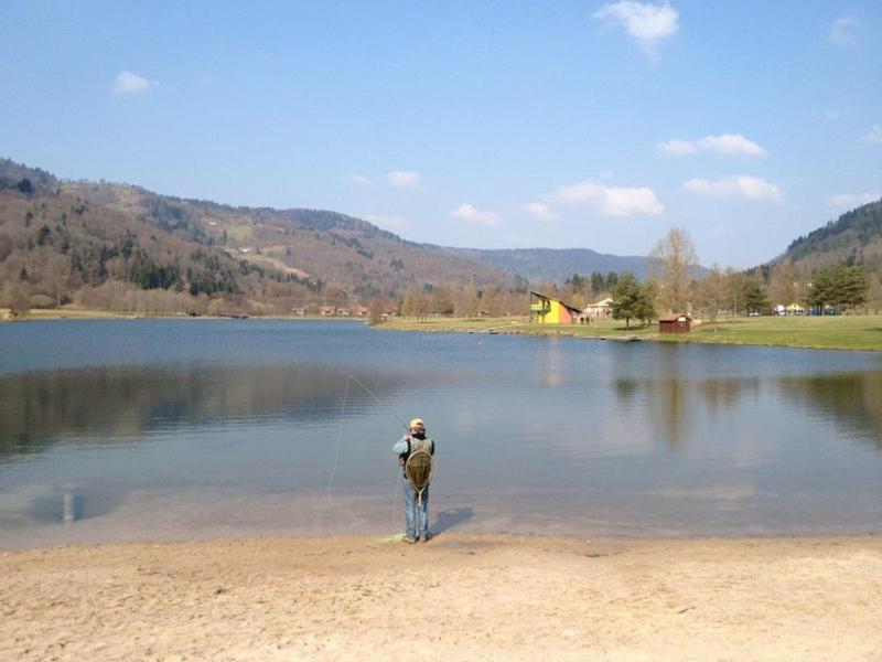 Chalet De Grettery Villa Saulxures-sur-Moselotte Bagian luar foto