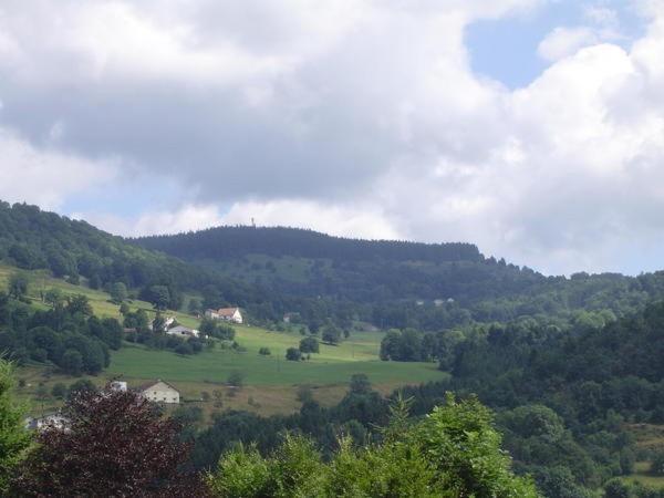 Chalet De Grettery Saulxures-sur-Moselotte Bagian luar foto