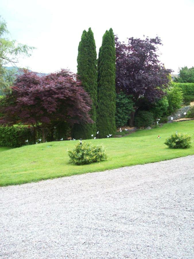 Chalet De Grettery Saulxures-sur-Moselotte Bagian luar foto